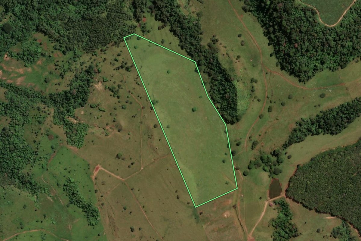 Imagem de satélite do imóvel rural em Mococa (SP), com o contorno declarado no CAR desenhado por cima.