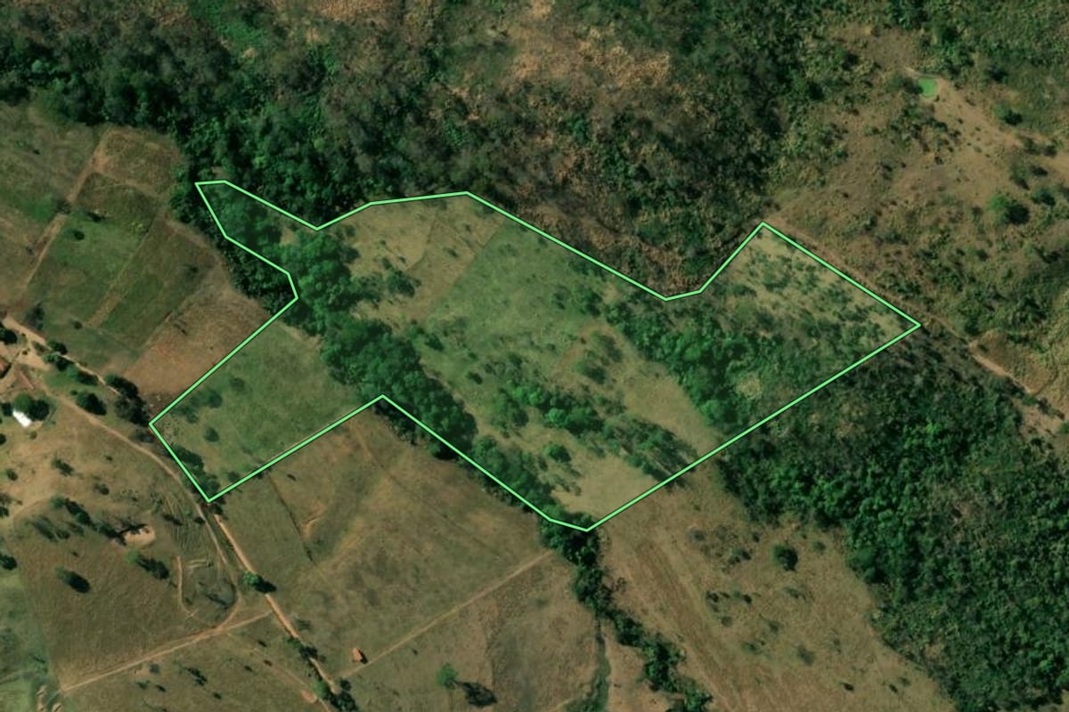 Imagem de satélite do imóvel rural em Mococa (SP), com o contorno declarado no CAR desenhado por cima.