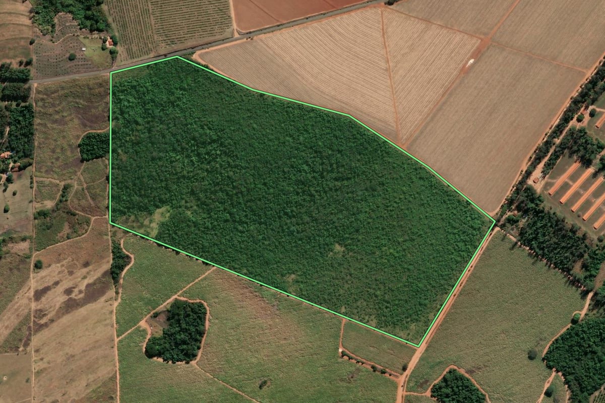 Imagem de satélite do imóvel rural em Mococa (SP), com o contorno declarado no CAR desenhado por cima.