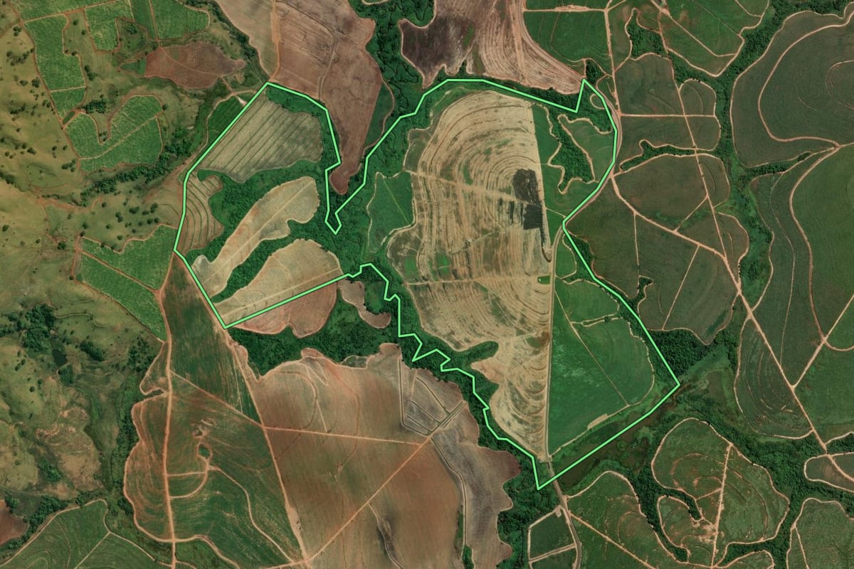 Imagem de satélite do imóvel rural em Mococa (SP), com o contorno declarado no CAR desenhado por cima.