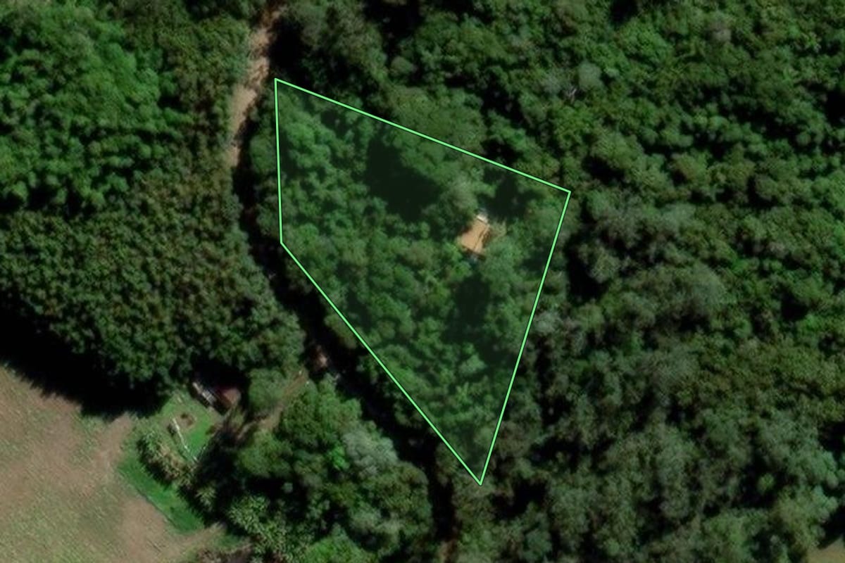 Imagem de satélite do imóvel rural em Mogi das Cruzes (SP), com o contorno declarado no CAR desenhado por cima.