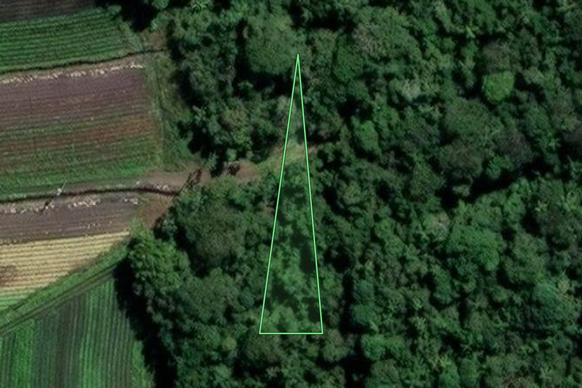 Imagem de satélite do imóvel rural em Mogi das Cruzes (SP), com o contorno declarado no CAR desenhado por cima.