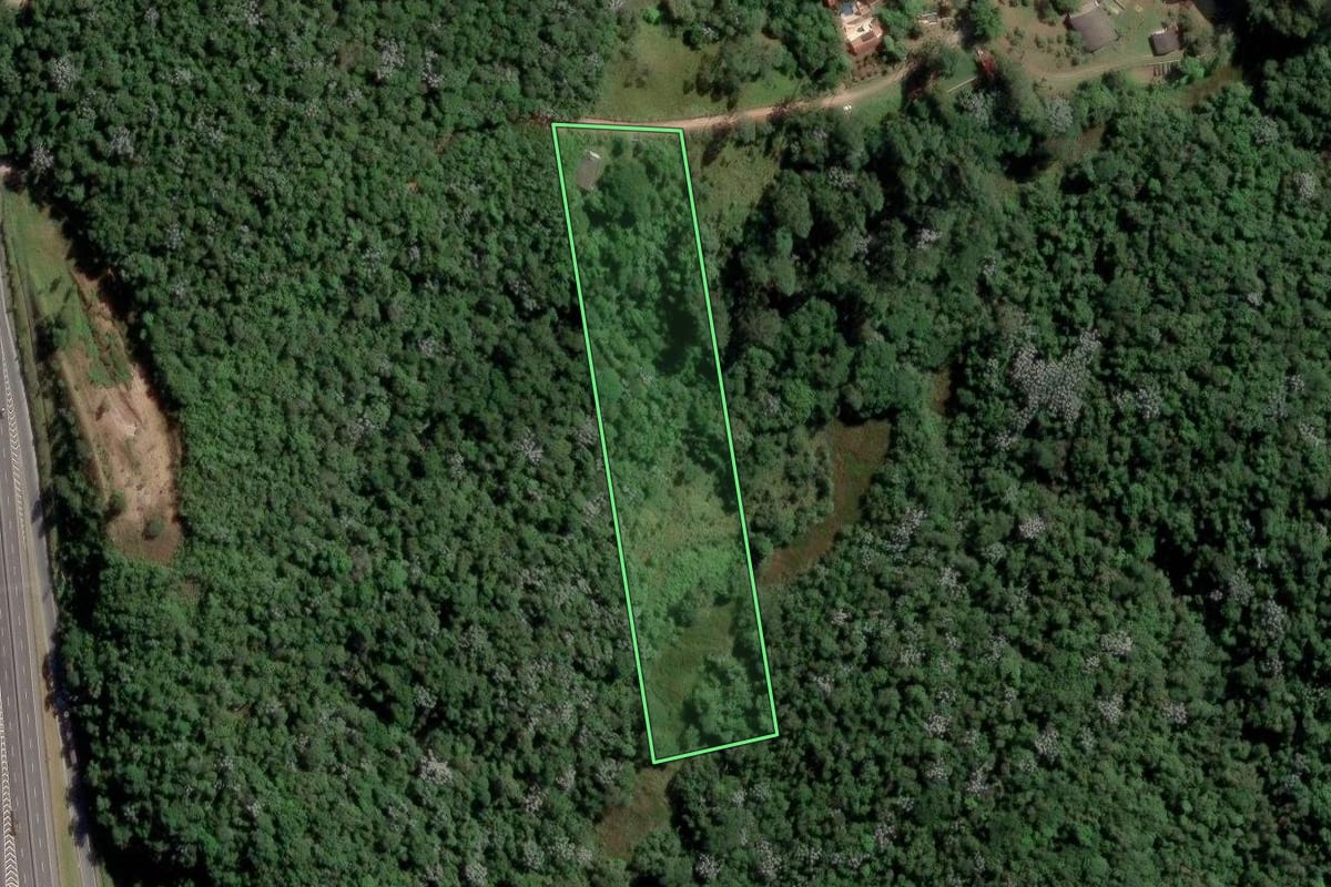 Imagem de satélite do imóvel rural em Mogi das Cruzes (SP), com o contorno declarado no CAR desenhado por cima.