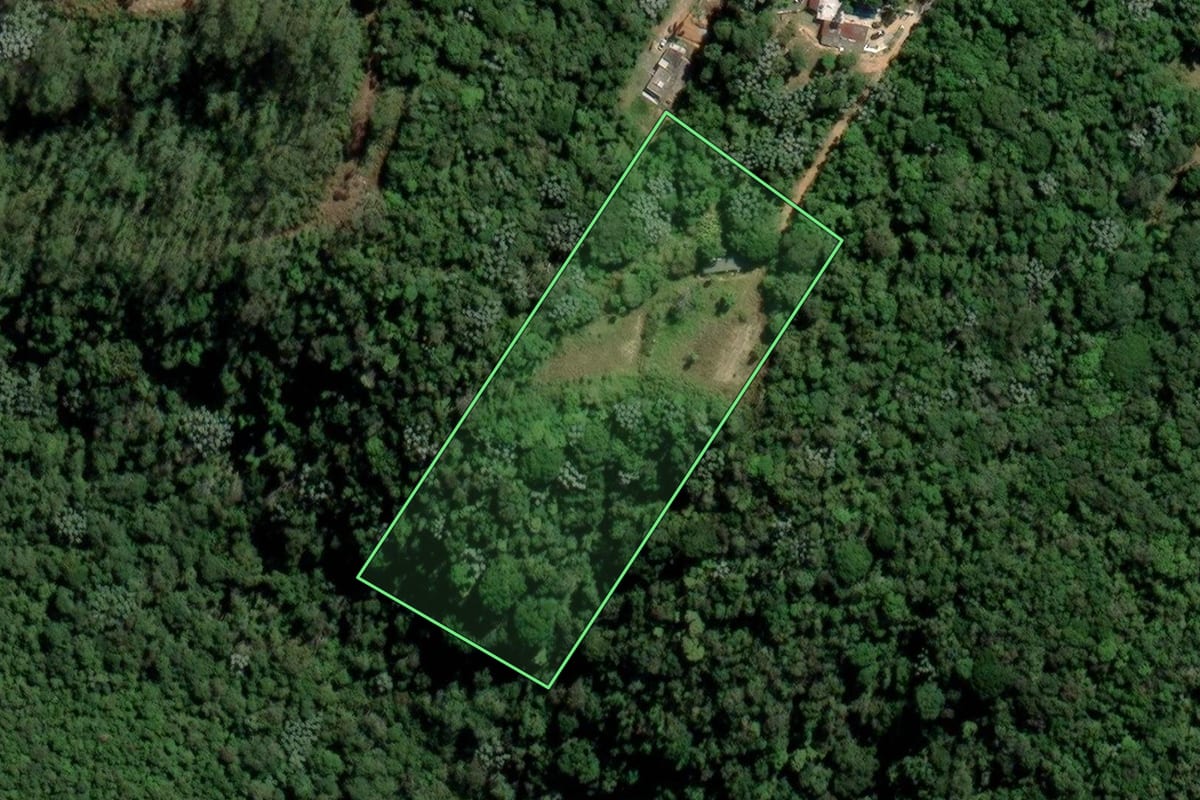 Imagem de satélite do imóvel rural em Mogi das Cruzes (SP), com o contorno declarado no CAR desenhado por cima.