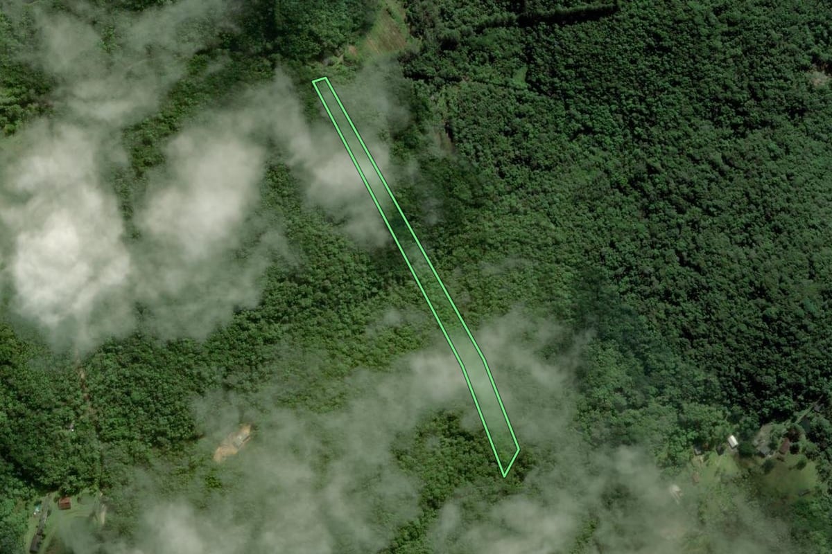 Imagem de satélite do imóvel rural em Mogi das Cruzes (SP), com o contorno declarado no CAR desenhado por cima.