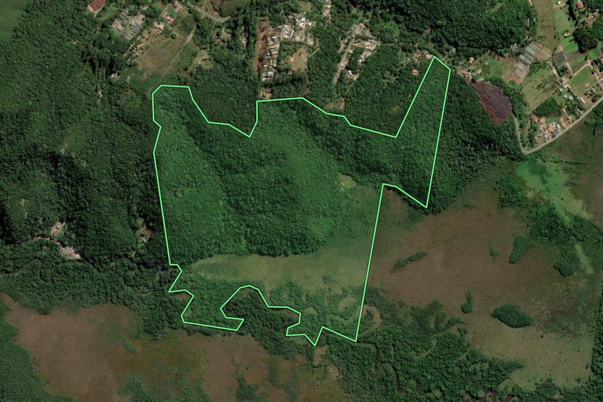 Imagem de satélite do imóvel rural em Mogi das Cruzes (SP), com o contorno declarado no CAR desenhado por cima.