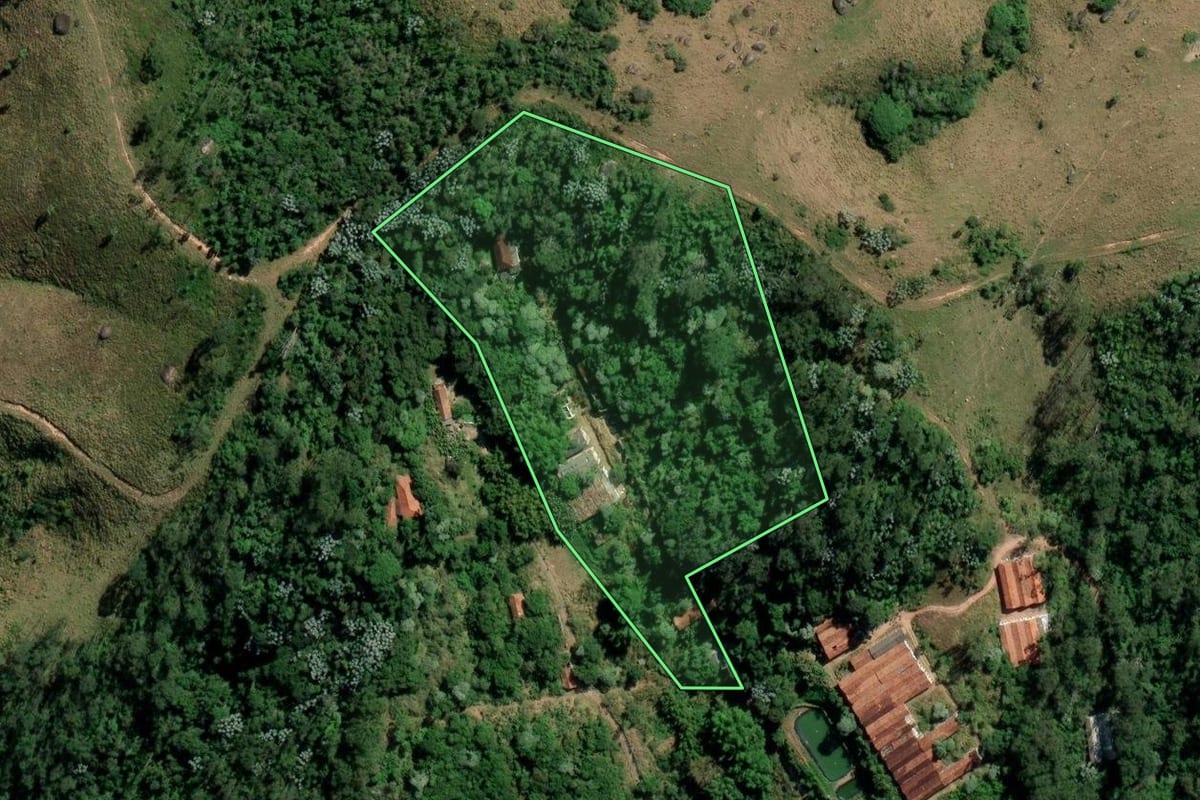 Imagem de satélite do imóvel rural em Mogi das Cruzes (SP), com o contorno declarado no CAR desenhado por cima.