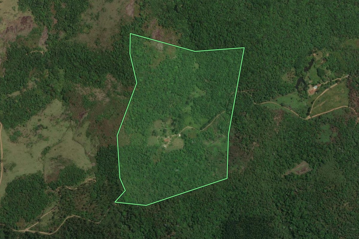 Imagem de satélite do imóvel rural em Mogi das Cruzes (SP), com o contorno declarado no CAR desenhado por cima.