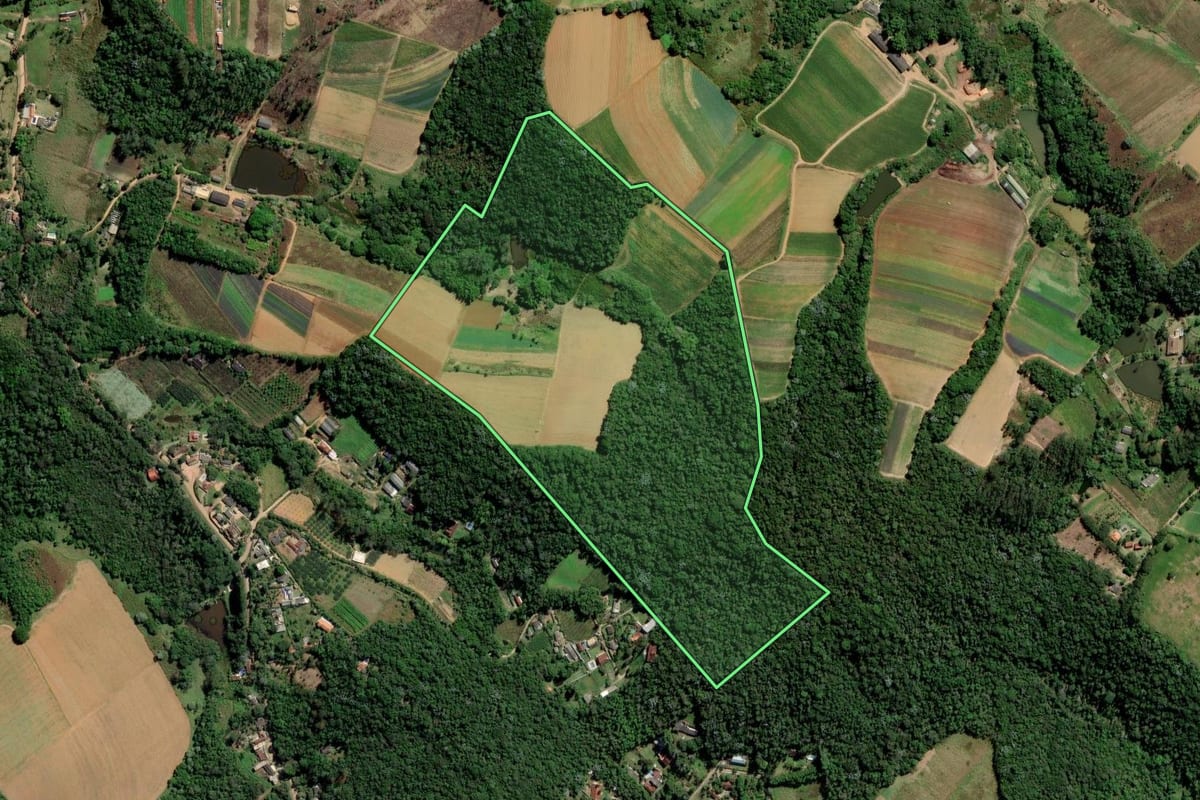 Imagem de satélite do imóvel rural em Mogi das Cruzes (SP), com o contorno declarado no CAR desenhado por cima.