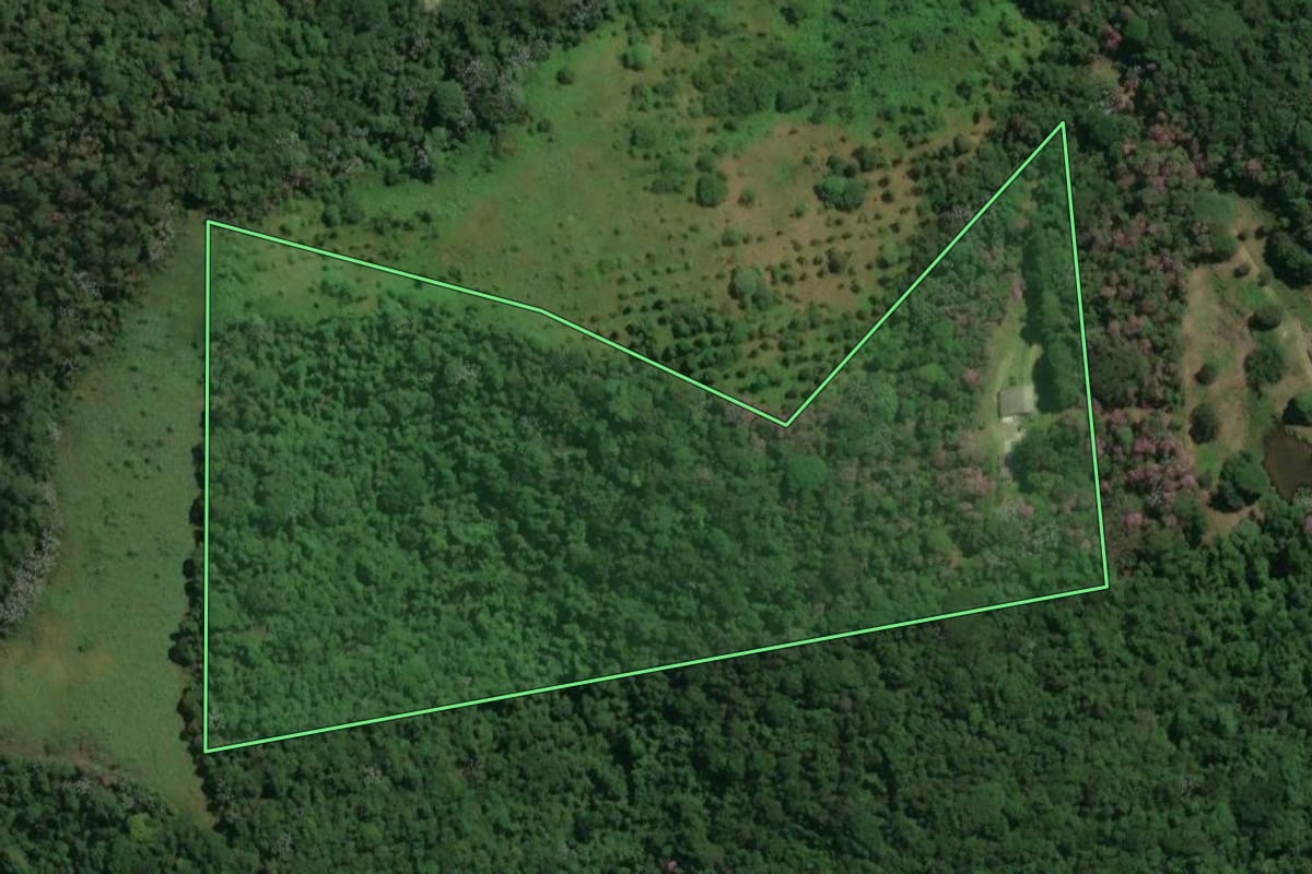 Imagem de satélite do imóvel rural em Mogi das Cruzes (SP), com o contorno declarado no CAR desenhado por cima.