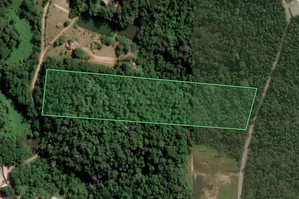 Imagem de satélite do imóvel rural em Mogi das Cruzes (SP), com o contorno declarado no CAR desenhado por cima.