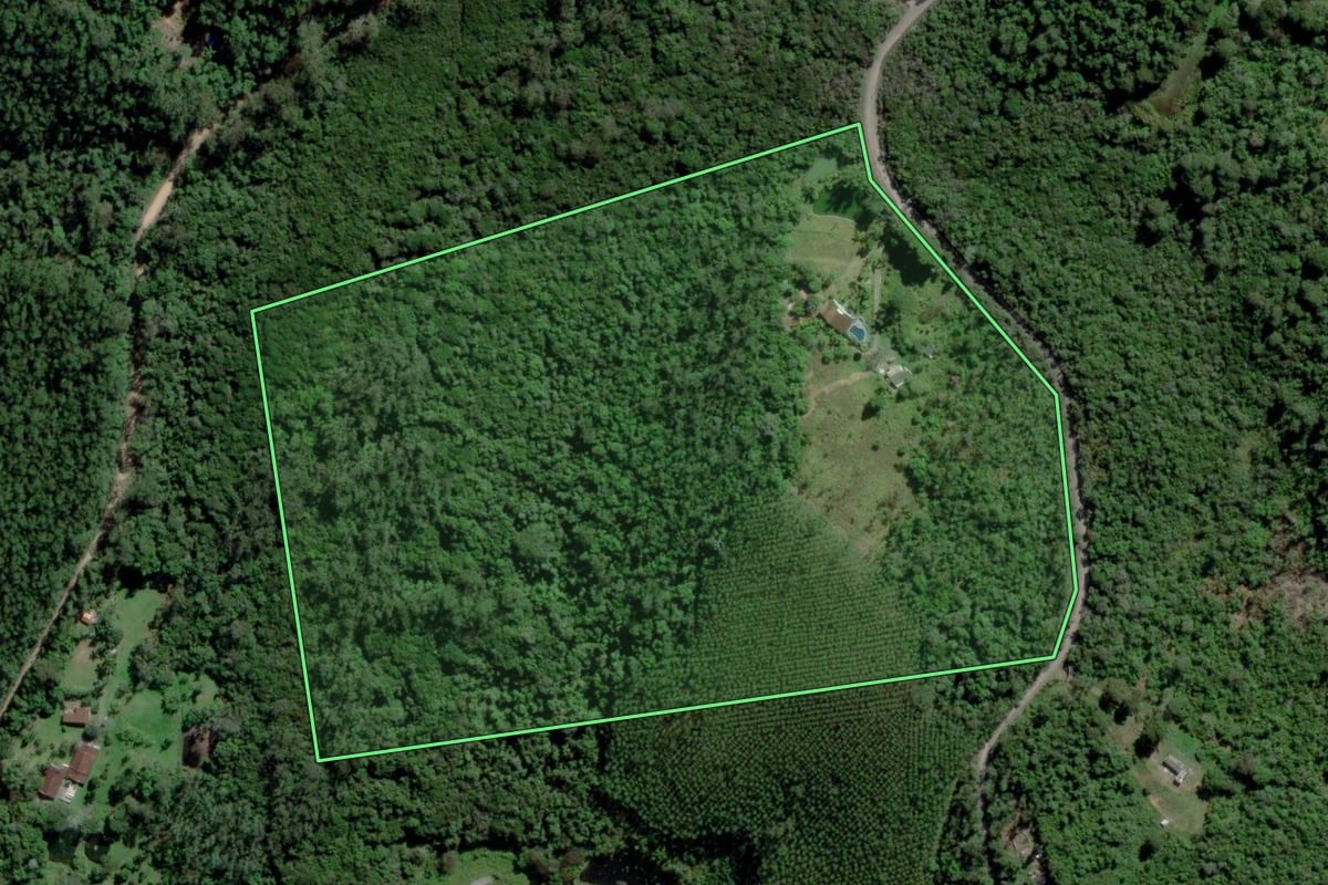 Imagem de satélite do imóvel rural em Mogi das Cruzes (SP), com o contorno declarado no CAR desenhado por cima.