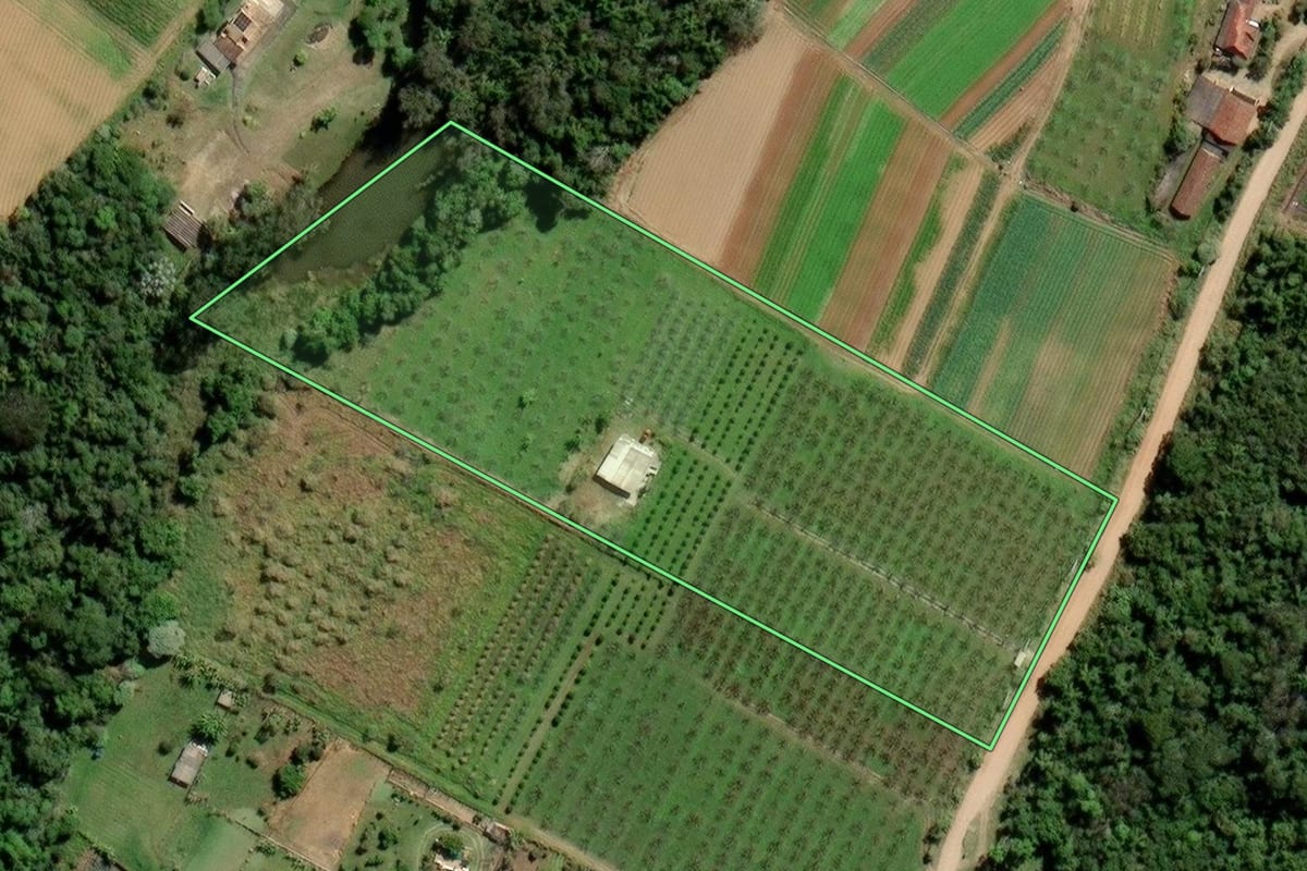 Imagem de satélite do imóvel rural em Mogi das Cruzes (SP), com o contorno declarado no CAR desenhado por cima.