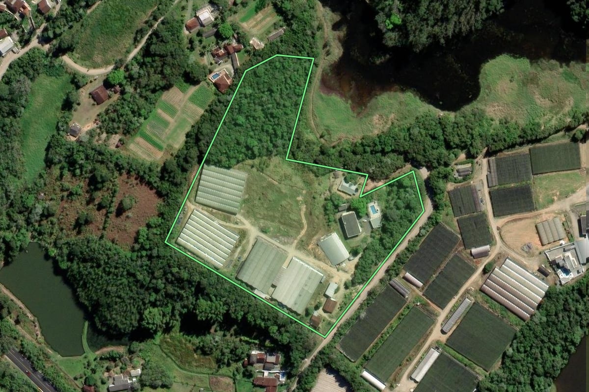 Imagem de satélite do imóvel rural em Mogi das Cruzes (SP), com o contorno declarado no CAR desenhado por cima.