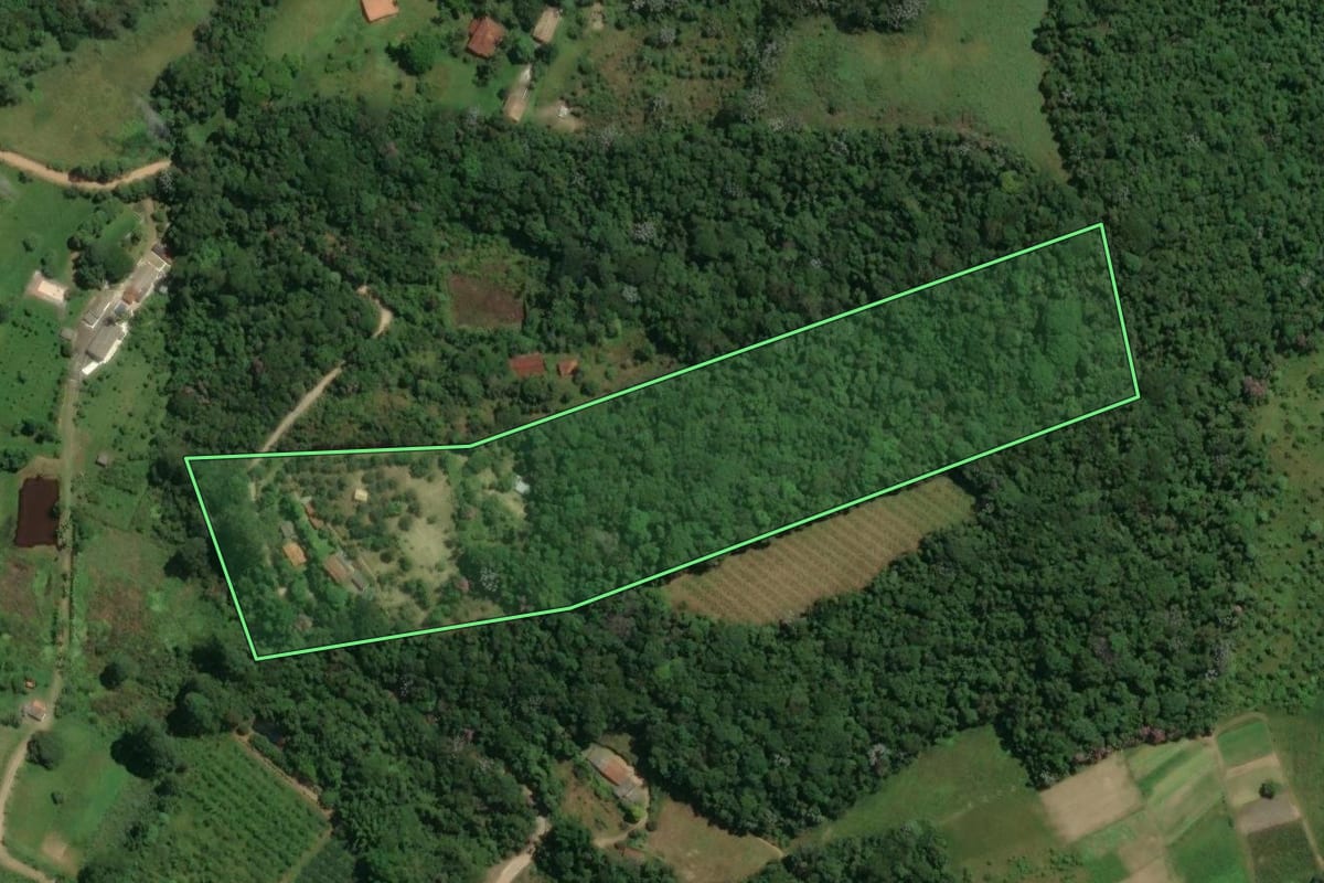 Imagem de satélite do imóvel rural em Mogi das Cruzes (SP), com o contorno declarado no CAR desenhado por cima.