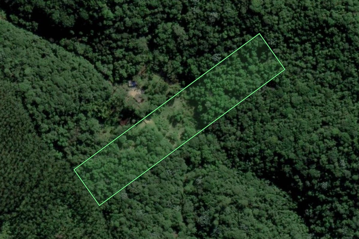 Imagem de satélite do imóvel rural em Mogi das Cruzes (SP), com o contorno declarado no CAR desenhado por cima.