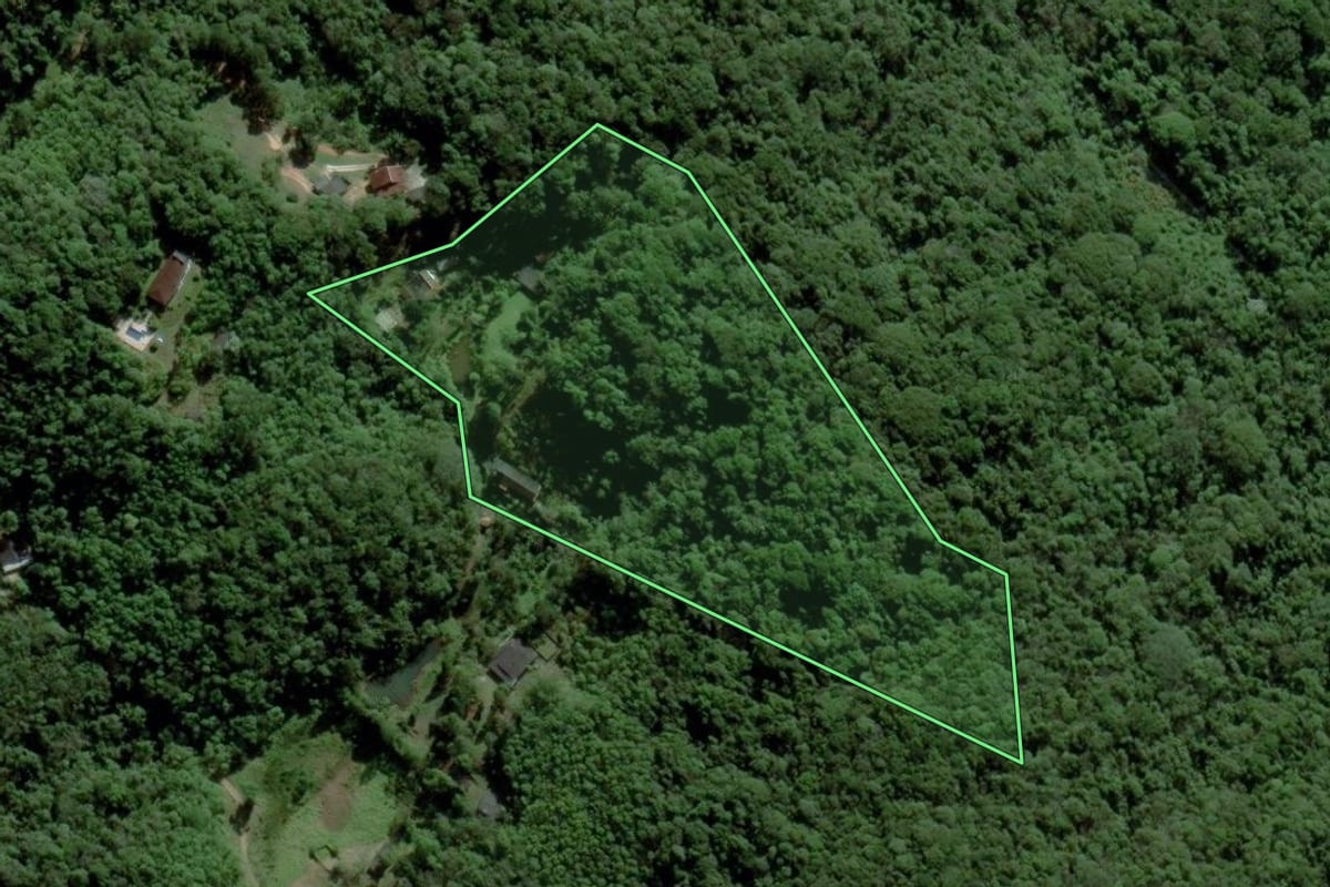 Imagem de satélite do imóvel rural em Mogi das Cruzes (SP), com o contorno declarado no CAR desenhado por cima.