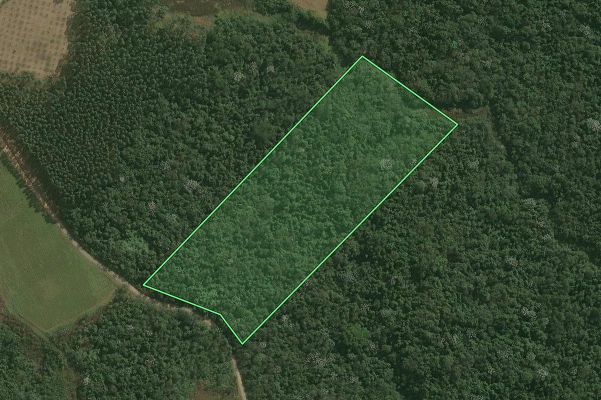 Imagem de satélite do imóvel rural em Mogi das Cruzes (SP), com o contorno declarado no CAR desenhado por cima.