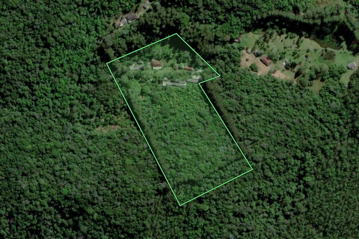 Imagem de satélite do imóvel rural em Mogi das Cruzes (SP), com o contorno declarado no CAR desenhado por cima.