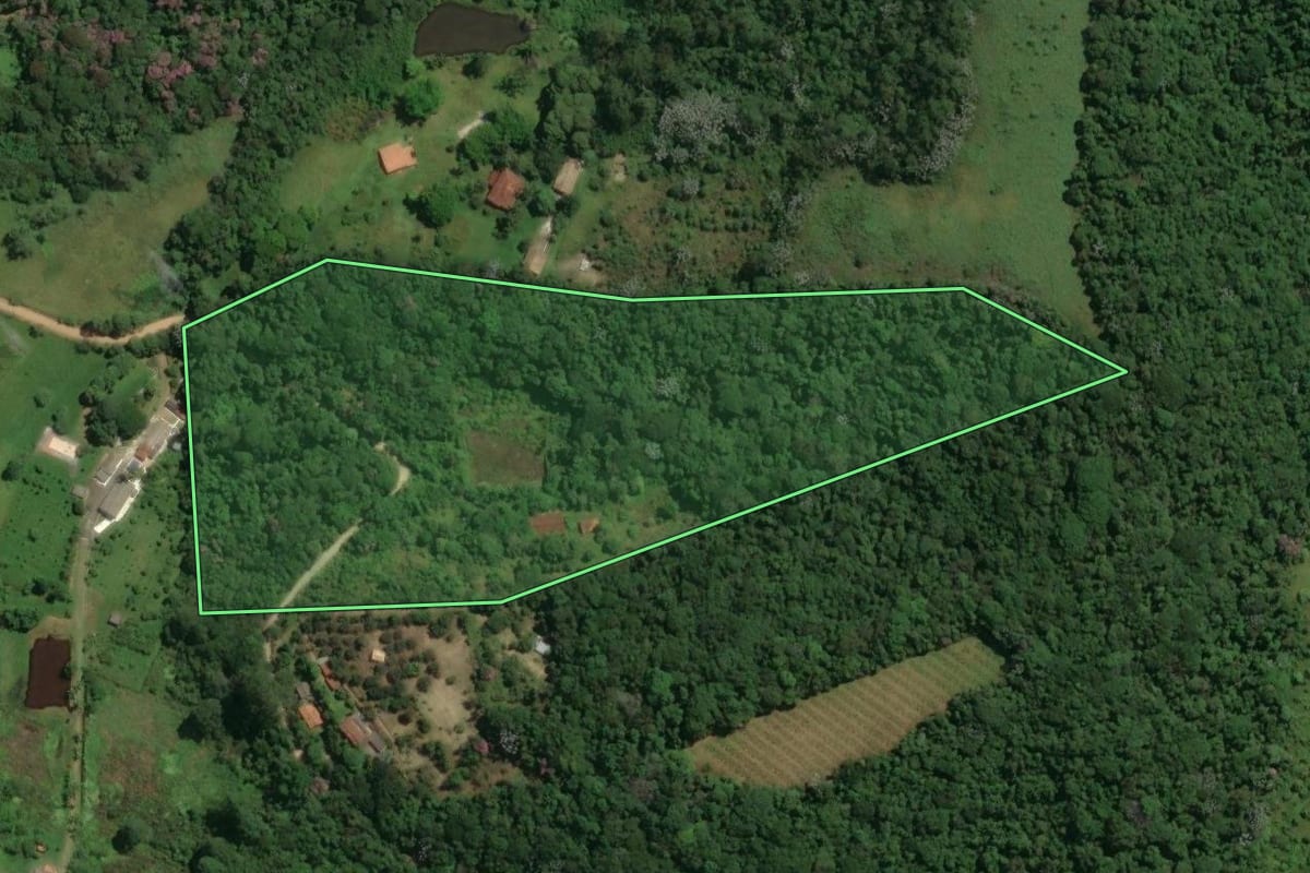Imagem de satélite do imóvel rural em Mogi das Cruzes (SP), com o contorno declarado no CAR desenhado por cima.