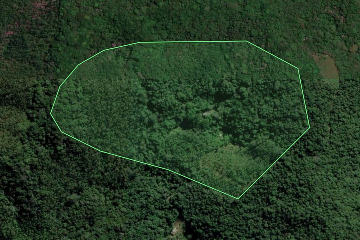 Imagem de satélite do imóvel rural em Mogi das Cruzes (SP), com o contorno declarado no CAR desenhado por cima.