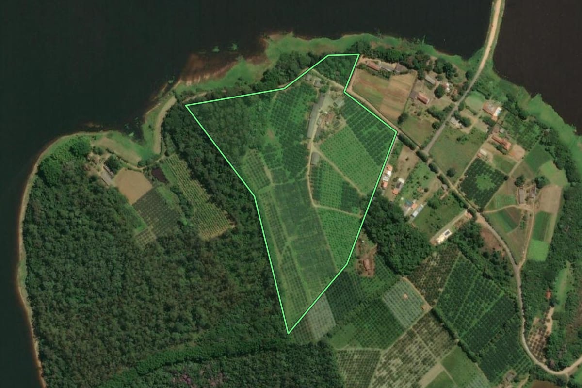 Imagem de satélite do imóvel rural em Mogi das Cruzes (SP), com o contorno declarado no CAR desenhado por cima.