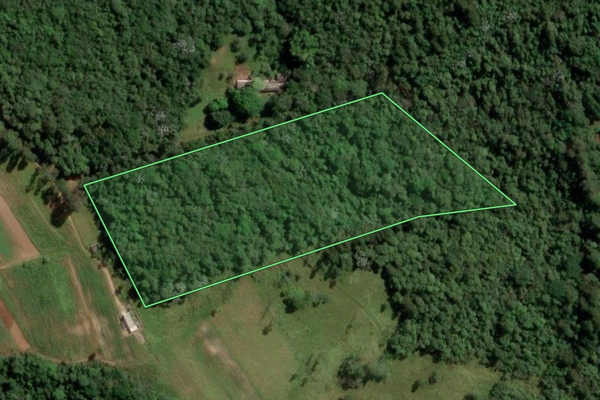 Imagem de satélite do imóvel rural em Mogi das Cruzes (SP), com o contorno declarado no CAR desenhado por cima.