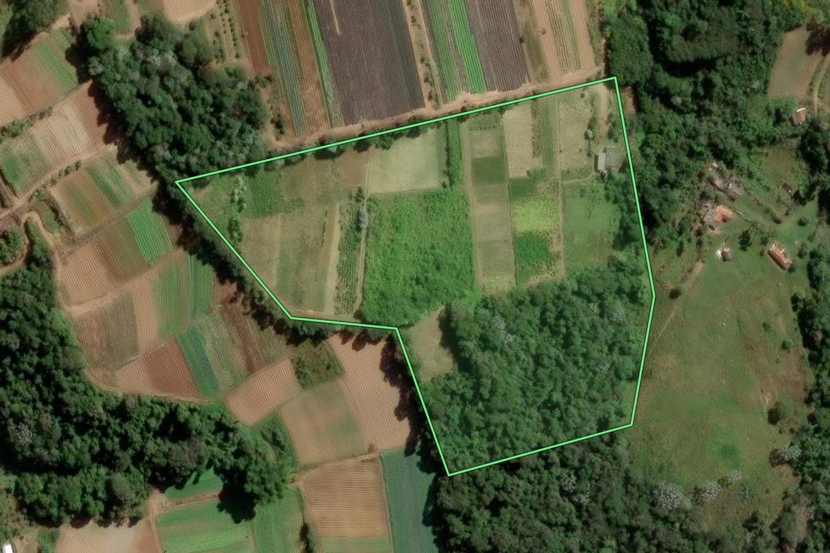 Imagem de satélite do imóvel rural em Mogi das Cruzes (SP), com o contorno declarado no CAR desenhado por cima.