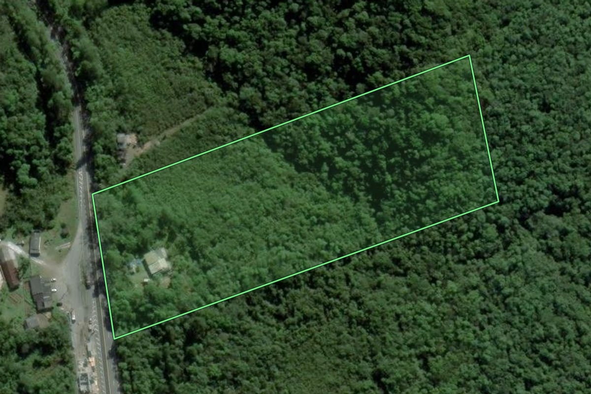 Imagem de satélite do imóvel rural em Mogi das Cruzes (SP), com o contorno declarado no CAR desenhado por cima.