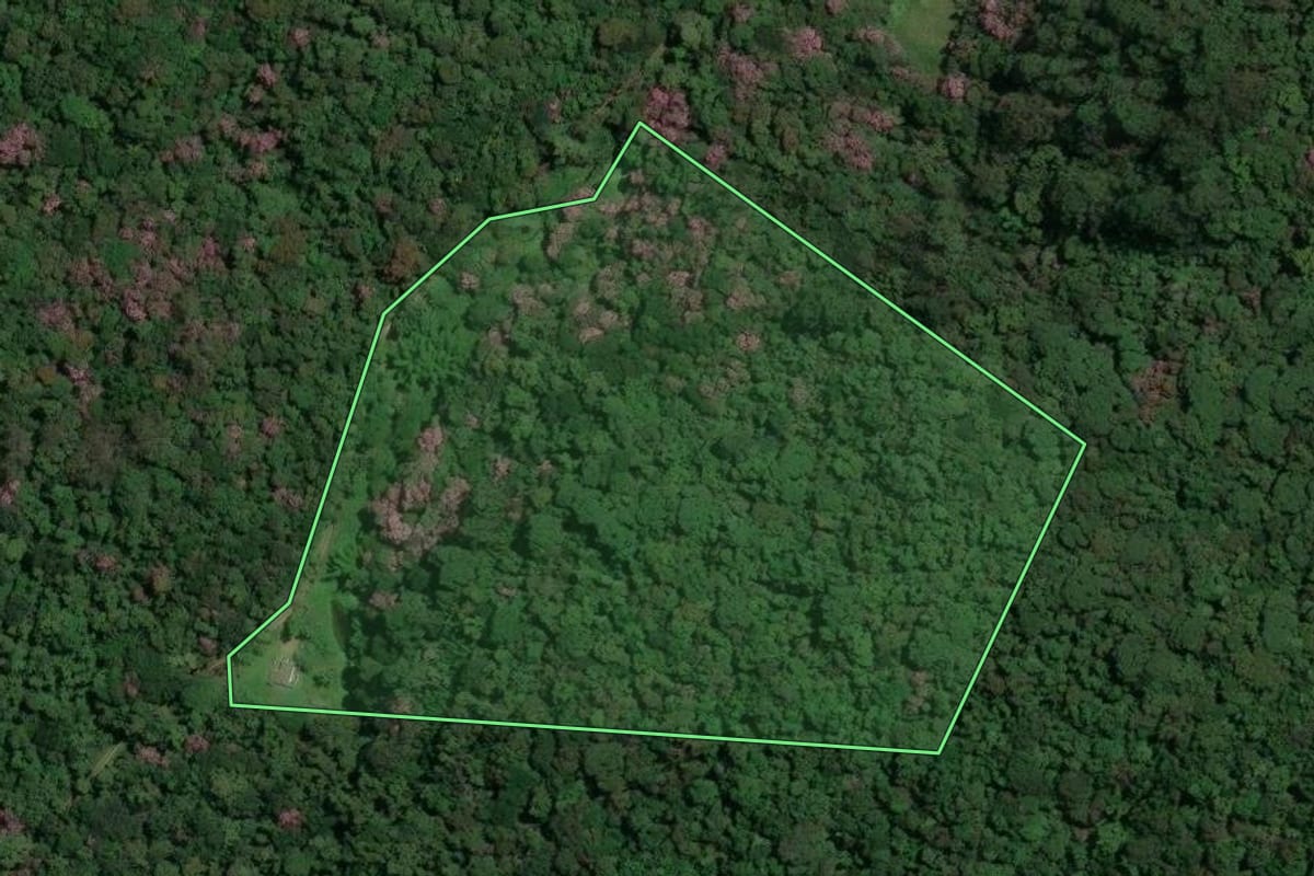 Imagem de satélite do imóvel rural em Mogi das Cruzes (SP), com o contorno declarado no CAR desenhado por cima.