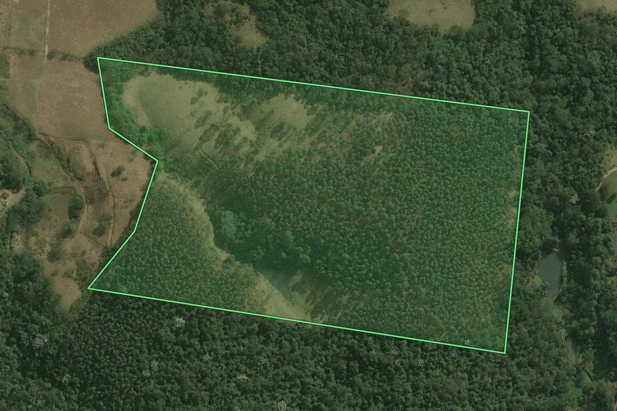 Imagem de satélite do imóvel rural em Mogi das Cruzes (SP), com o contorno declarado no CAR desenhado por cima.