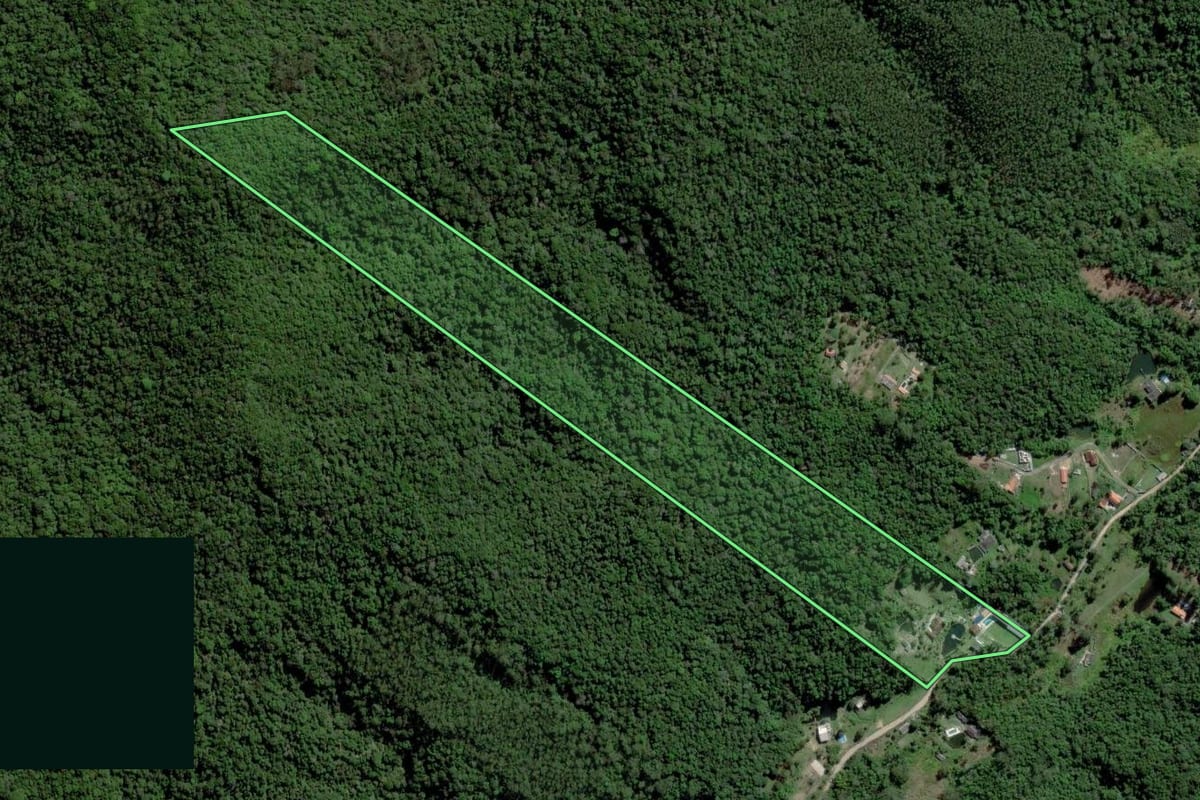 Imagem de satélite do imóvel rural em Mogi das Cruzes (SP), com o contorno declarado no CAR desenhado por cima.