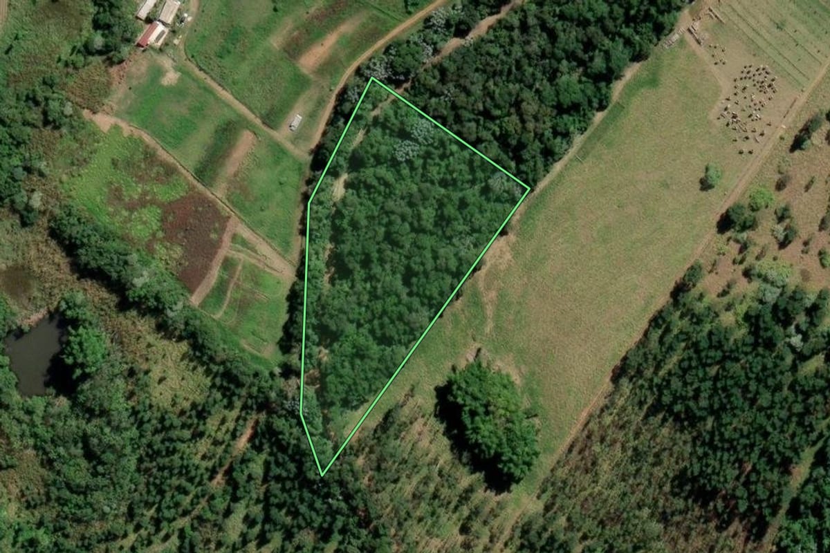 Imagem de satélite do imóvel rural em Mogi das Cruzes (SP), com o contorno declarado no CAR desenhado por cima.