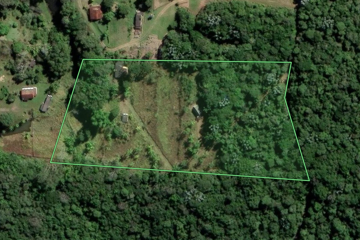 Imagem de satélite do imóvel rural em Mogi das Cruzes (SP), com o contorno declarado no CAR desenhado por cima.