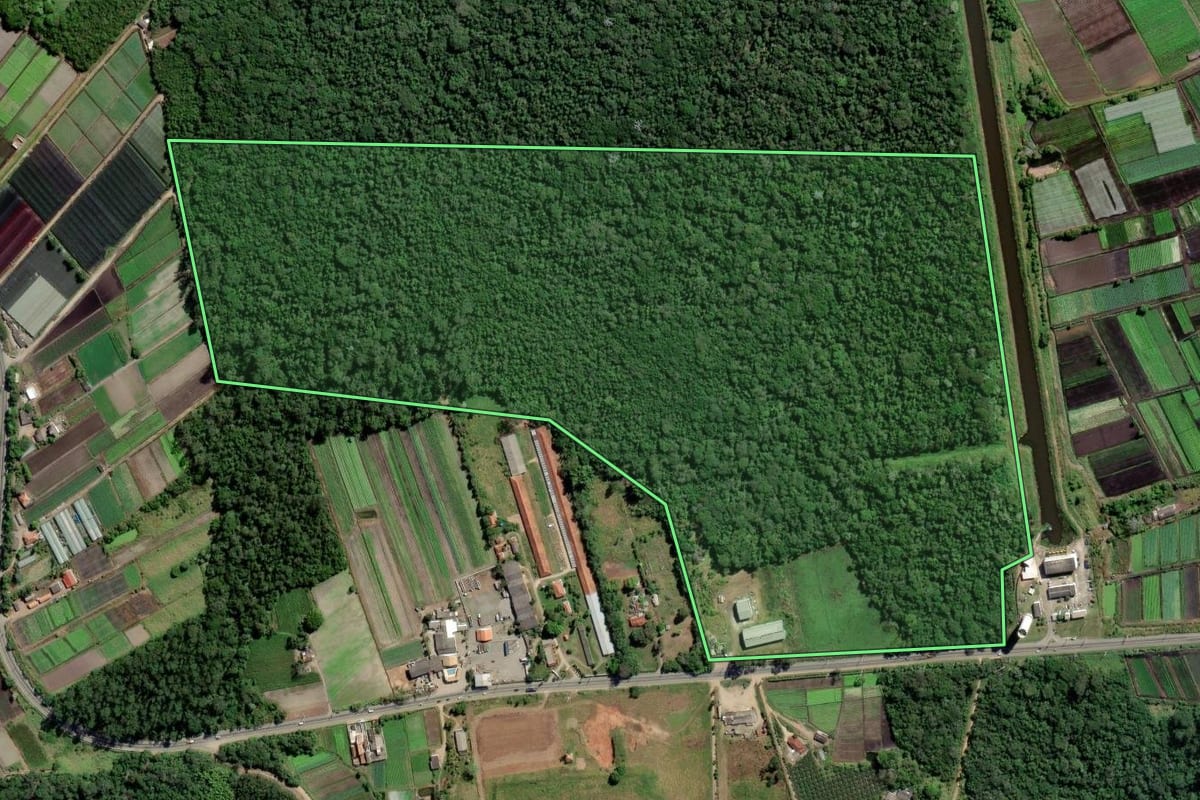 Imagem de satélite do imóvel rural em Mogi das Cruzes (SP), com o contorno declarado no CAR desenhado por cima.
