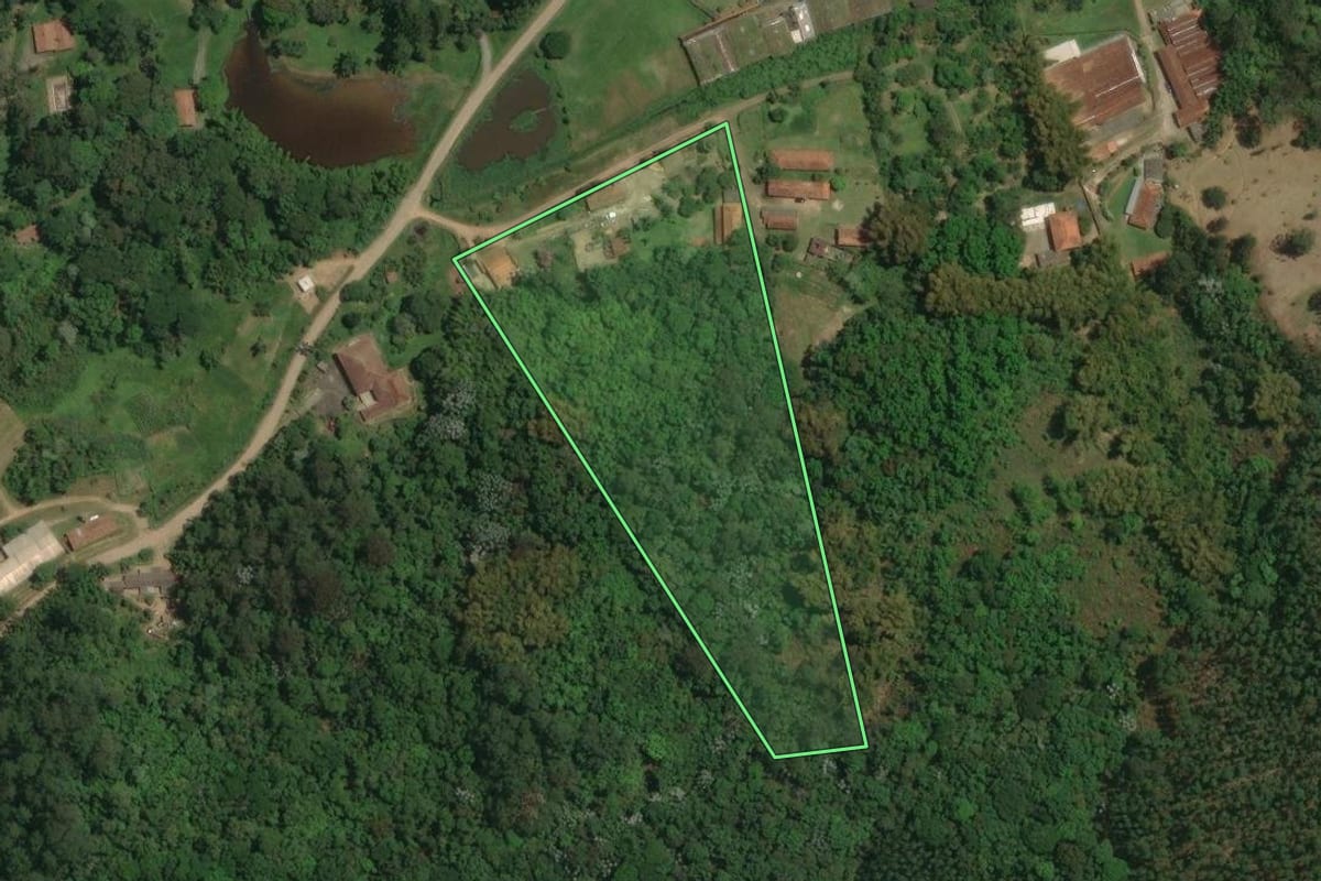 Imagem de satélite do imóvel rural em Mogi das Cruzes (SP), com o contorno declarado no CAR desenhado por cima.