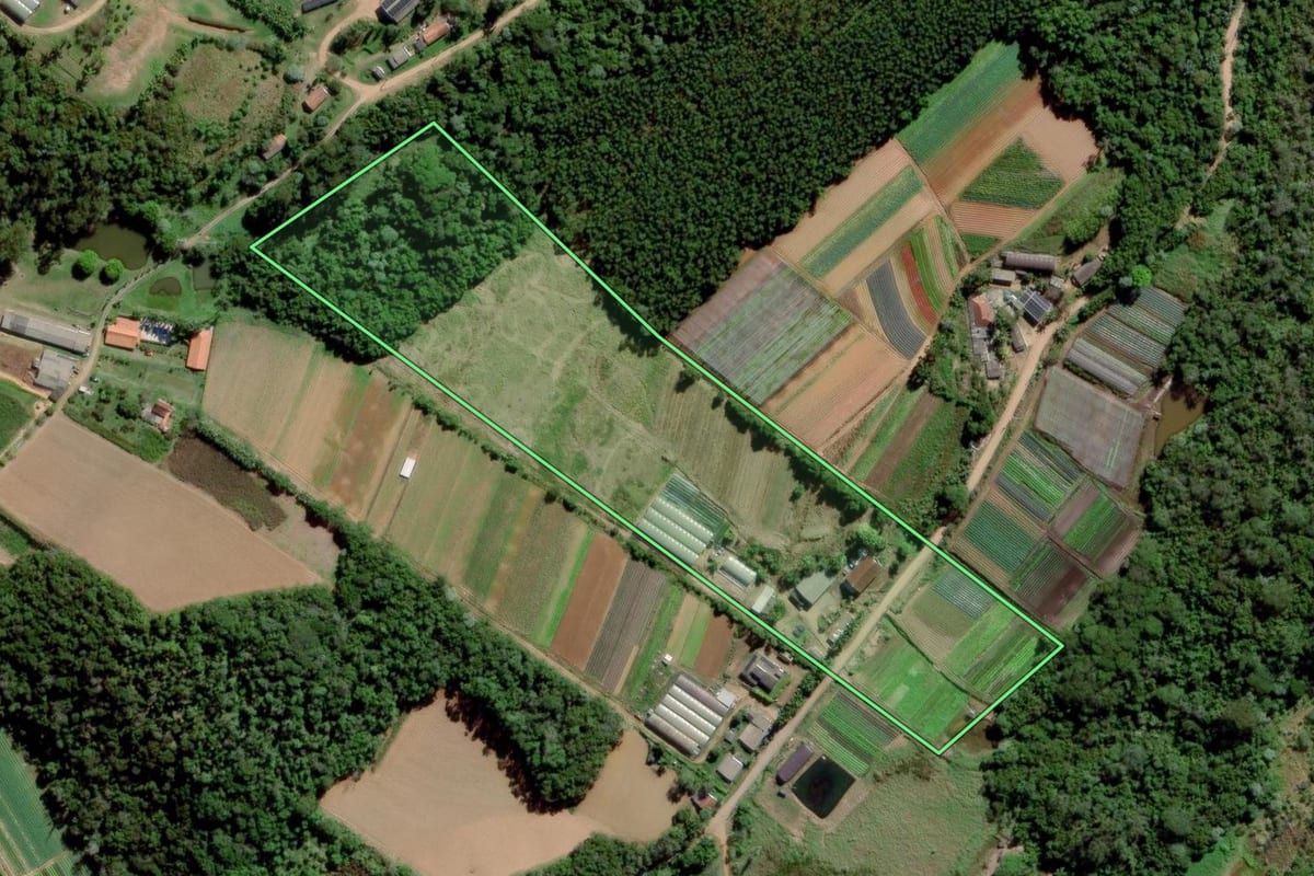 Imagem de satélite do imóvel rural em Mogi das Cruzes (SP), com o contorno declarado no CAR desenhado por cima.