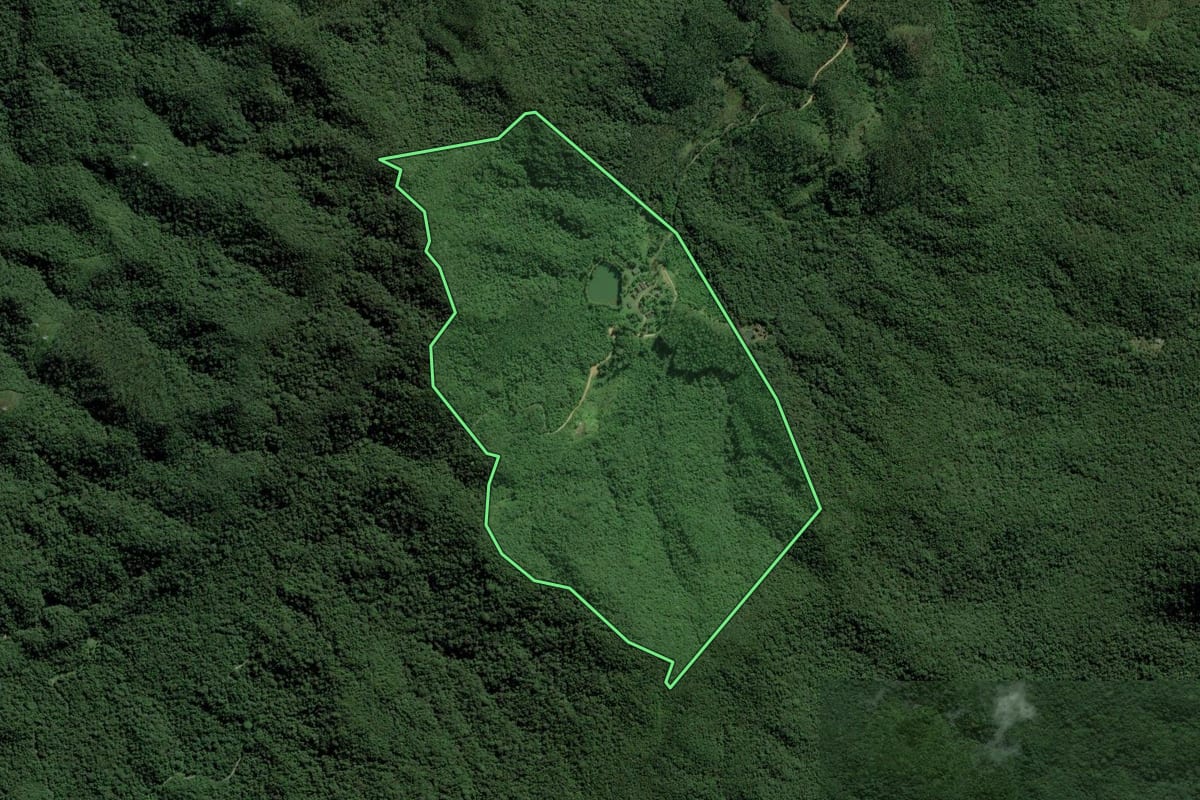 Imagem de satélite do imóvel rural em Mogi das Cruzes (SP), com o contorno declarado no CAR desenhado por cima.