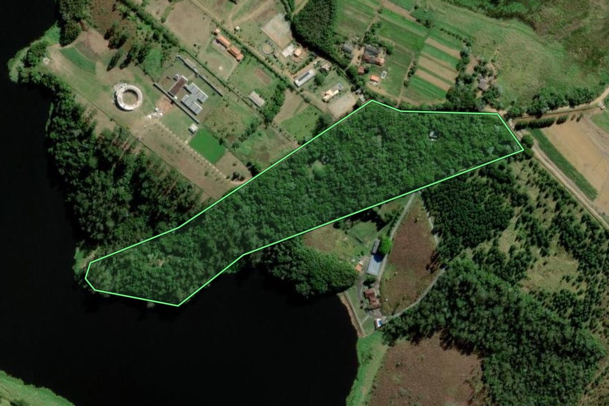 Imagem de satélite do imóvel rural em Mogi das Cruzes (SP), com o contorno declarado no CAR desenhado por cima.