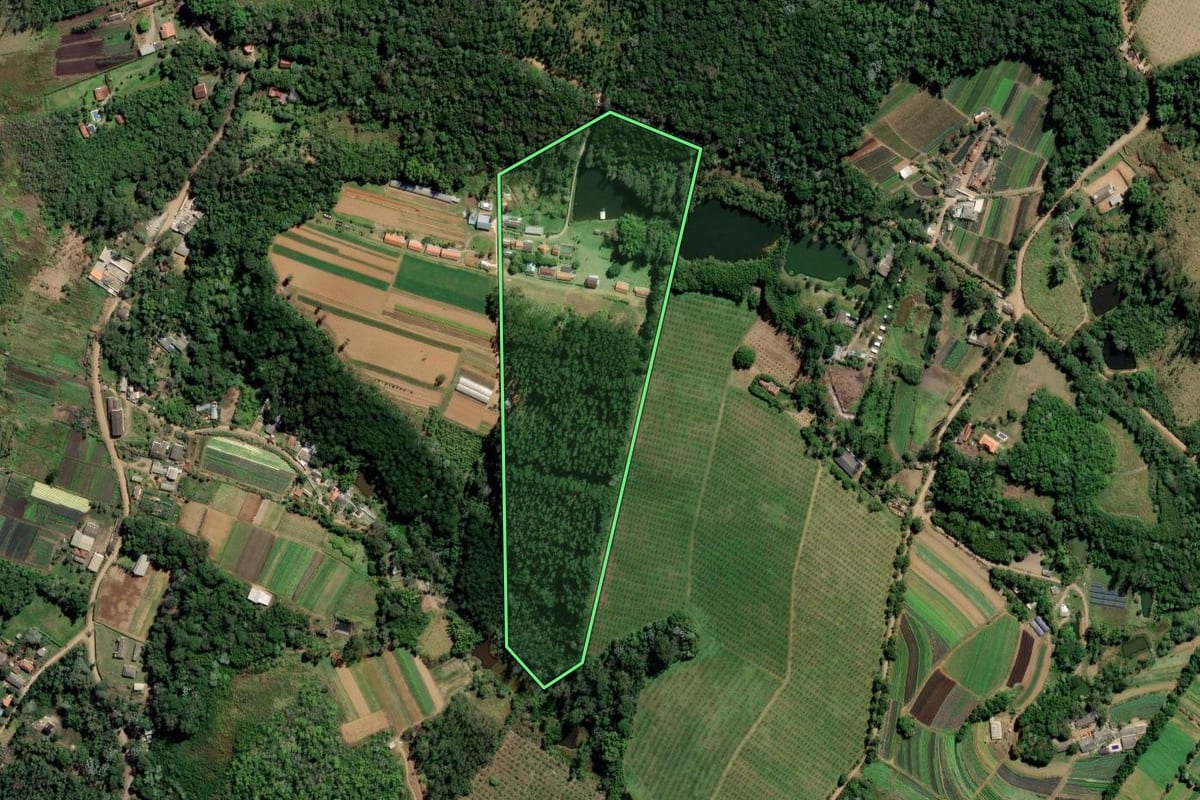 Imagem de satélite do imóvel rural em Mogi das Cruzes (SP), com o contorno declarado no CAR desenhado por cima.