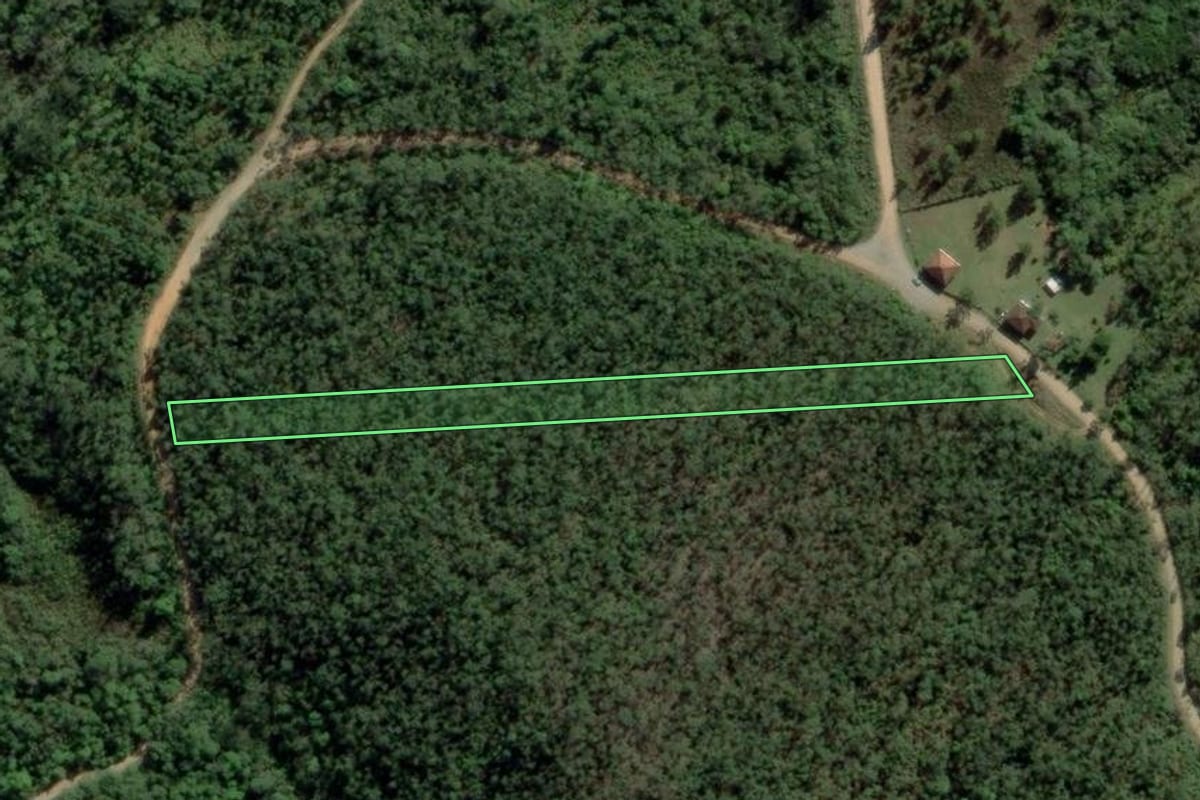 Imagem de satélite do imóvel rural em Mogi das Cruzes (SP), com o contorno declarado no CAR desenhado por cima.