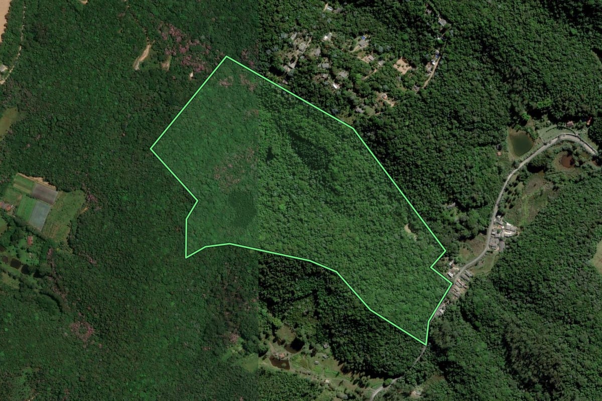 Imagem de satélite do imóvel rural em Mogi das Cruzes (SP), com o contorno declarado no CAR desenhado por cima.