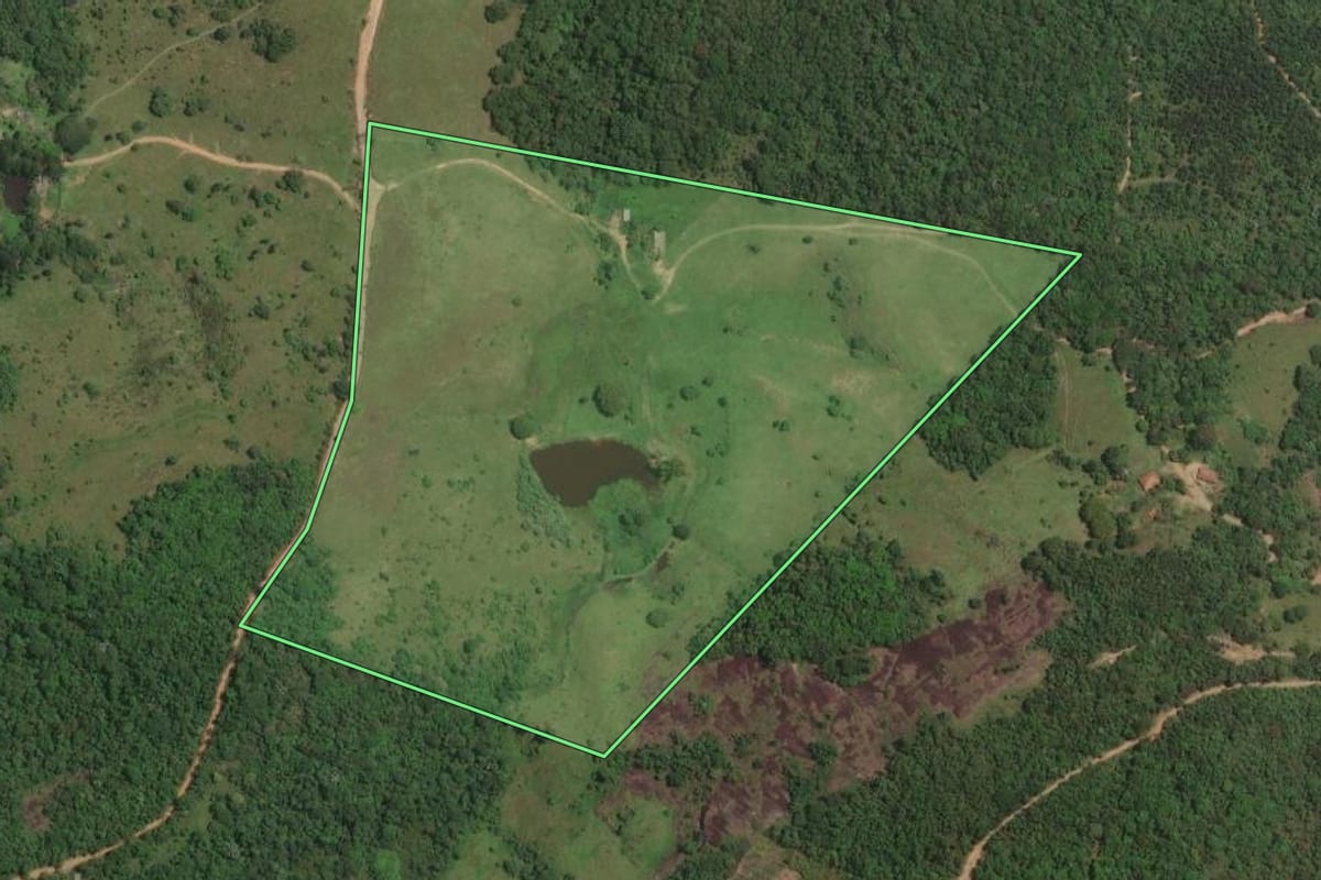 Imagem de satélite do imóvel rural em Mogi das Cruzes (SP), com o contorno declarado no CAR desenhado por cima.