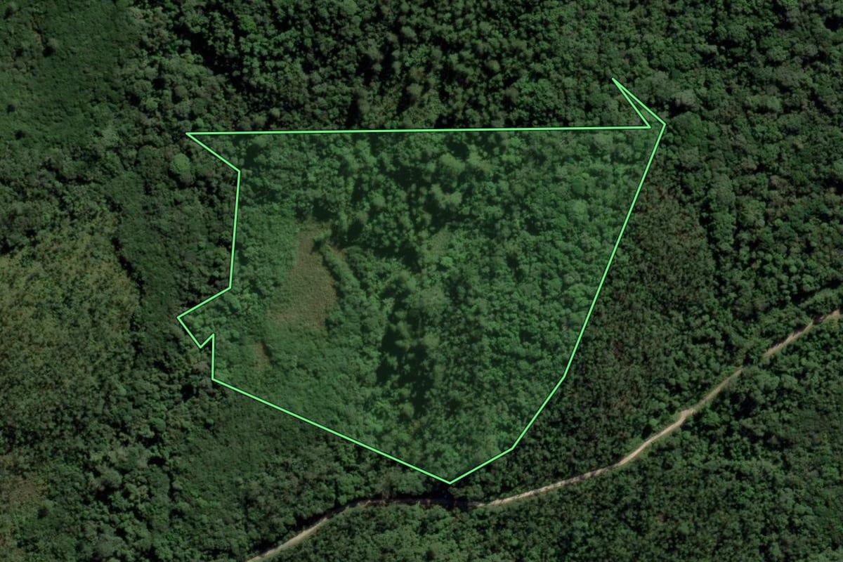 Imagem de satélite do imóvel rural em Mogi das Cruzes (SP), com o contorno declarado no CAR desenhado por cima.