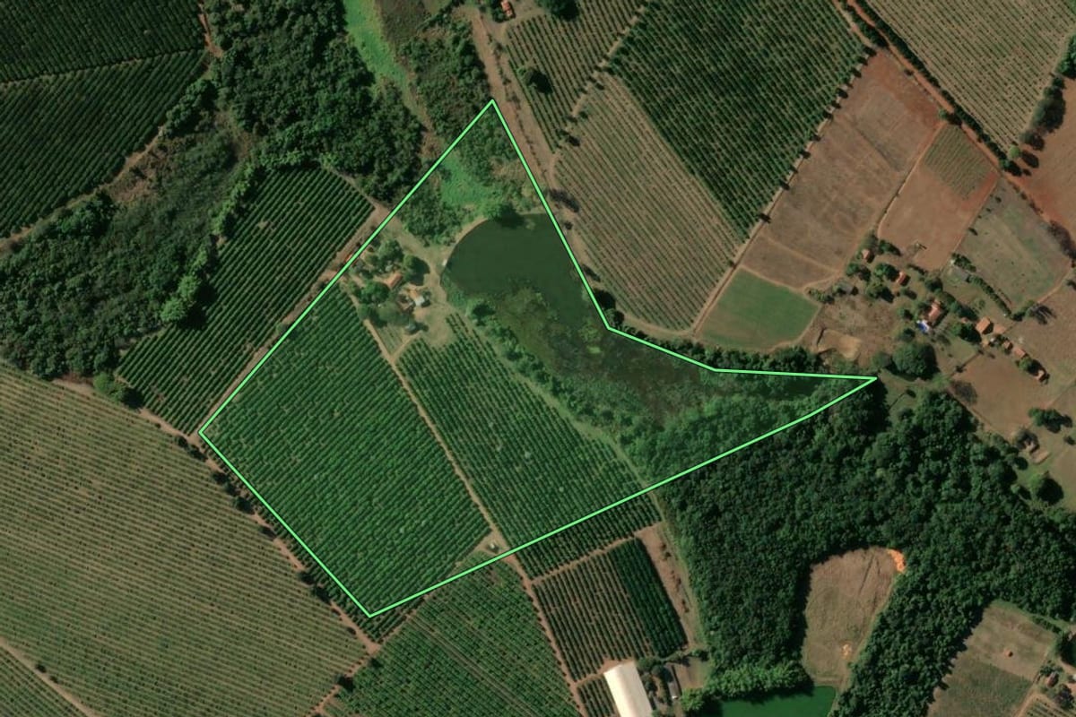 Imagem de satélite do imóvel rural em Mogi Guaçu (SP), com o contorno declarado no CAR desenhado por cima.