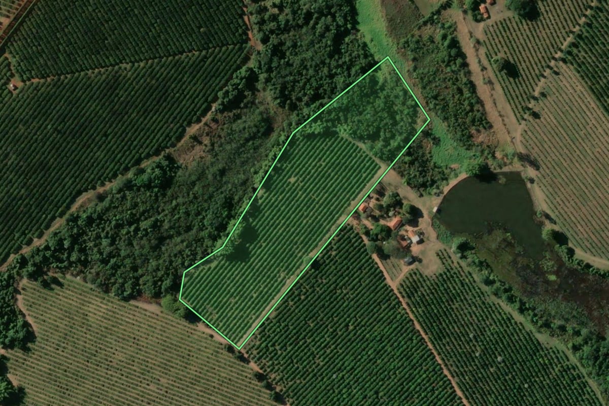 Imagem de satélite do imóvel rural em Mogi Guaçu (SP), com o contorno declarado no CAR desenhado por cima.