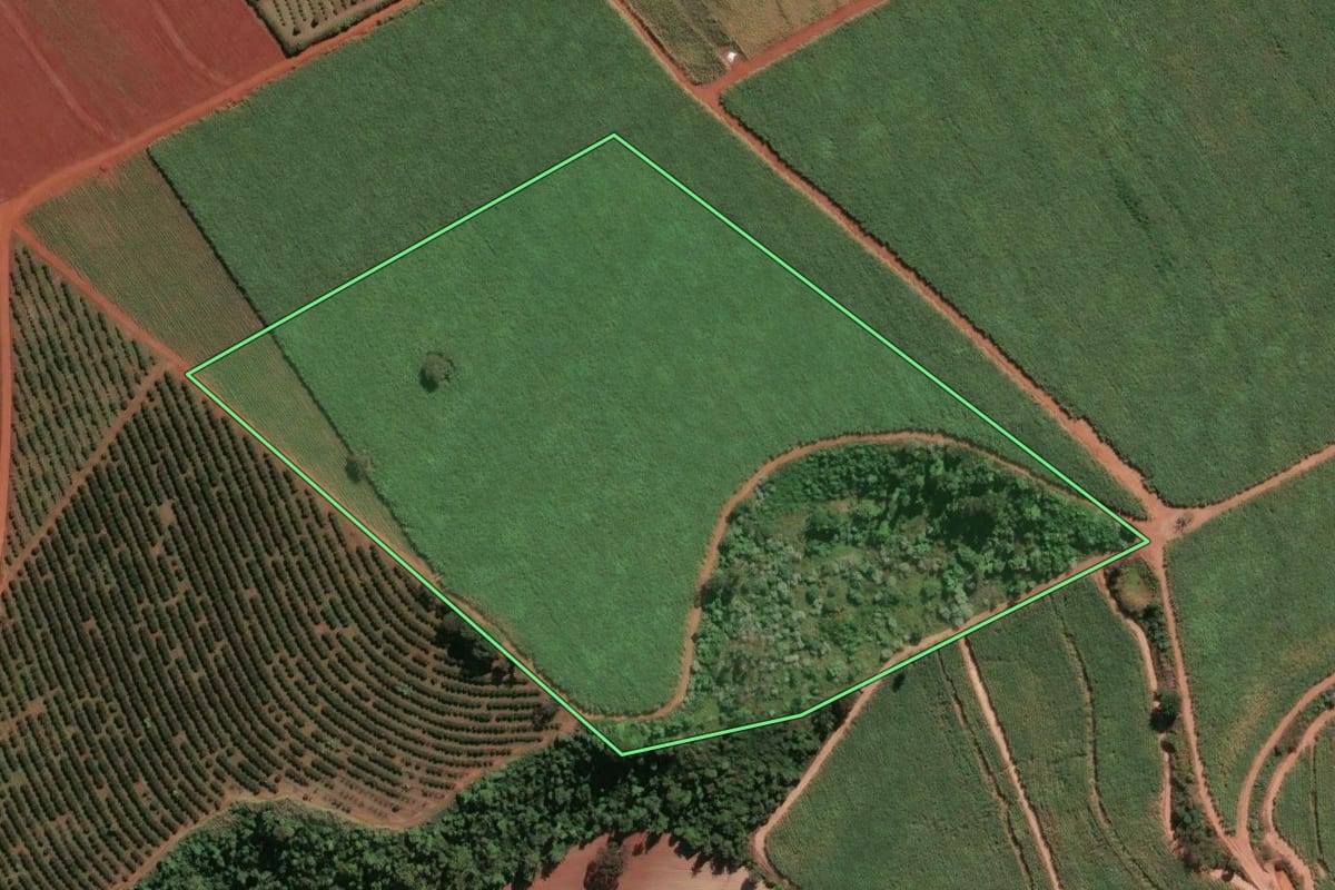 Imagem de satélite do imóvel rural em Mogi Guaçu (SP), com o contorno declarado no CAR desenhado por cima.