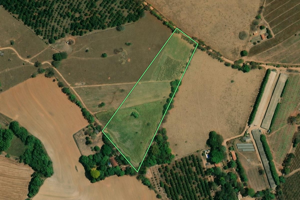 Imagem de satélite do imóvel rural em Mogi Guaçu (SP), com o contorno declarado no CAR desenhado por cima.