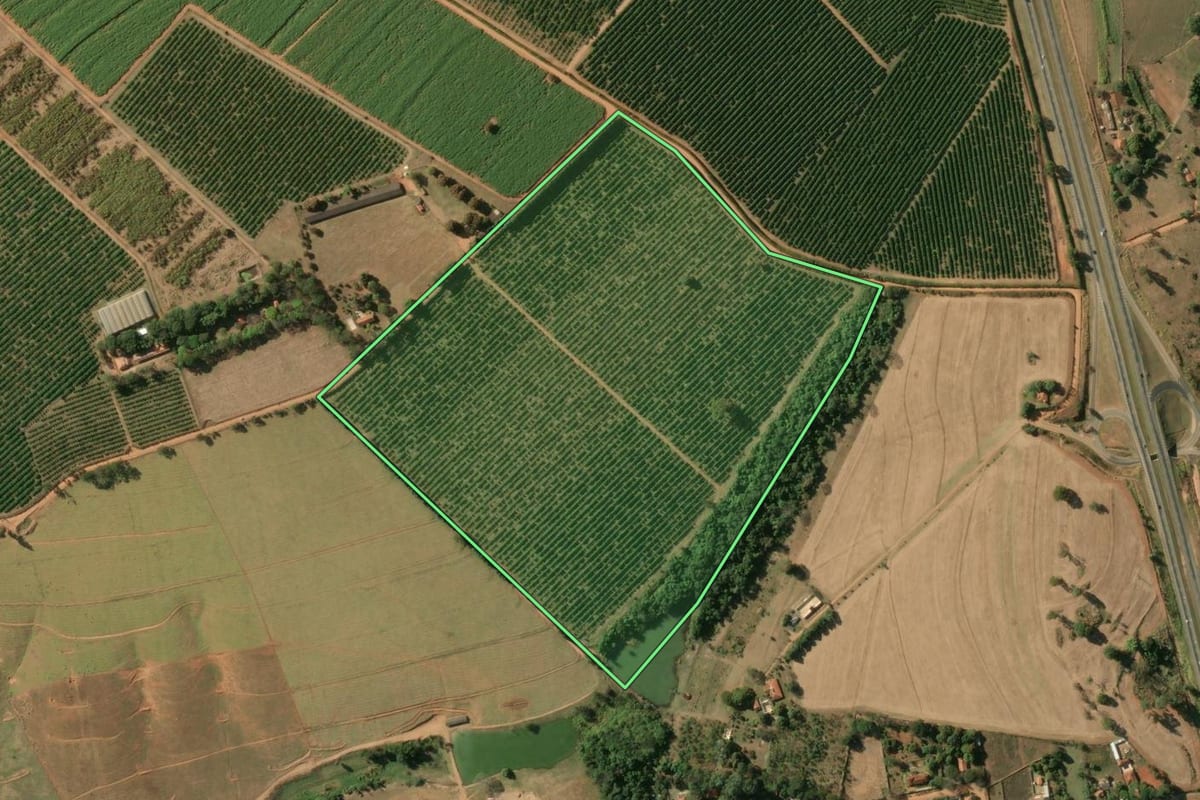 Imagem de satélite do imóvel rural em Mogi Guaçu (SP), com o contorno declarado no CAR desenhado por cima.