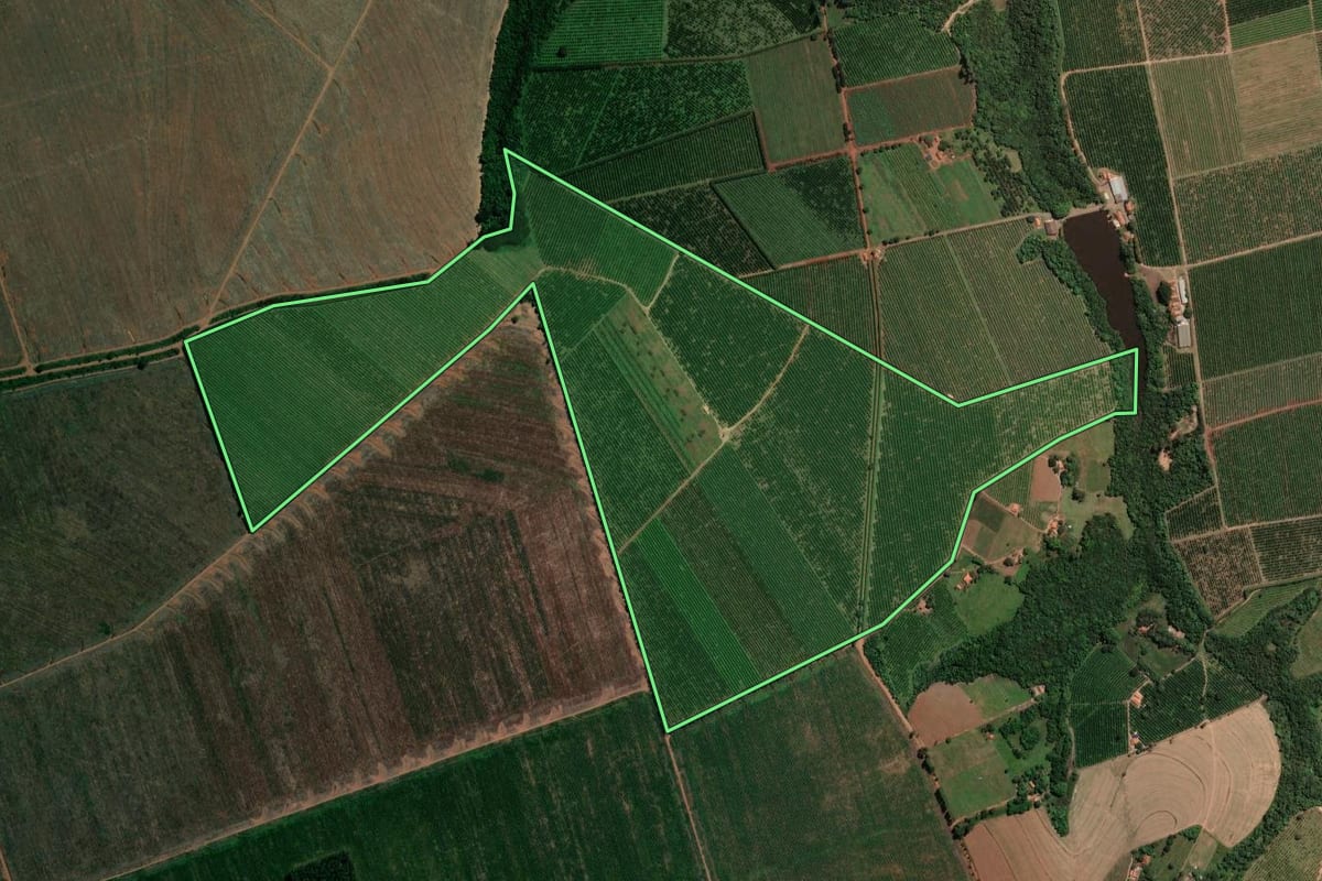 Imagem de satélite do imóvel rural em Mogi Guaçu (SP), com o contorno declarado no CAR desenhado por cima.